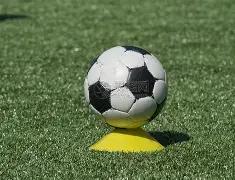 体育局领导,确认,李楠辞职请,欧宝娱乐官网,欧宝娱乐官网在线娱乐平台