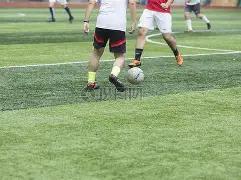 热刺英超激,战布赖顿成,功逆袭,欧宝娱乐官网,欧宝娱乐官网在线娱乐平台