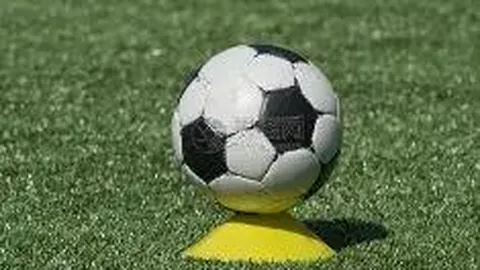 体育局领导确认：李楠辞职请求尚未接获，力挺篮球协会变革