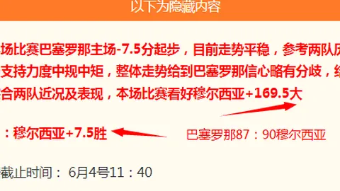 篮球新秀入驻场场精彩，仅一失误保持不败传奇